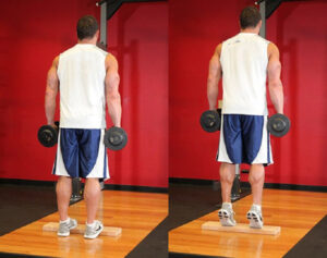 bai tap gym tai nha cho nam Standing Dumbbell Calf Raise 1