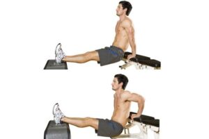 bai tap gym tai nha cho nam bench