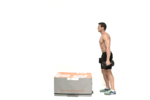 bai tap gym tai nha cho nam dumbbell step 1