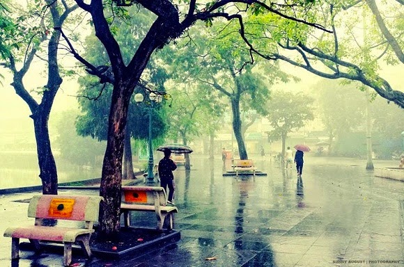 chenh venh mua ve