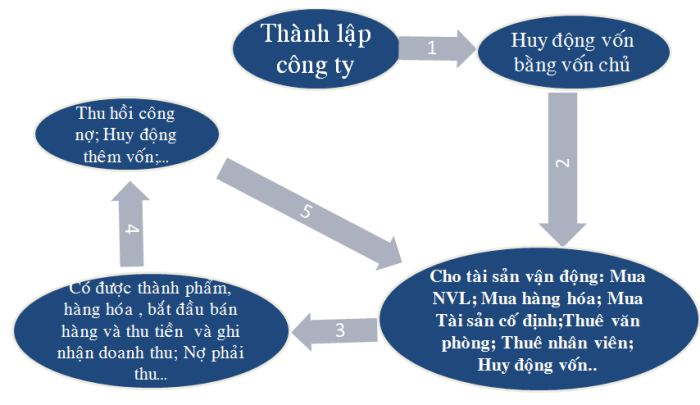 quytrinhhoatdongcuacongty 700x405 1