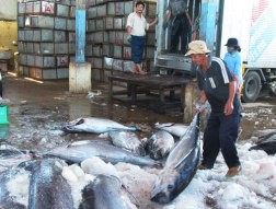 thuonghieucanguvietnam